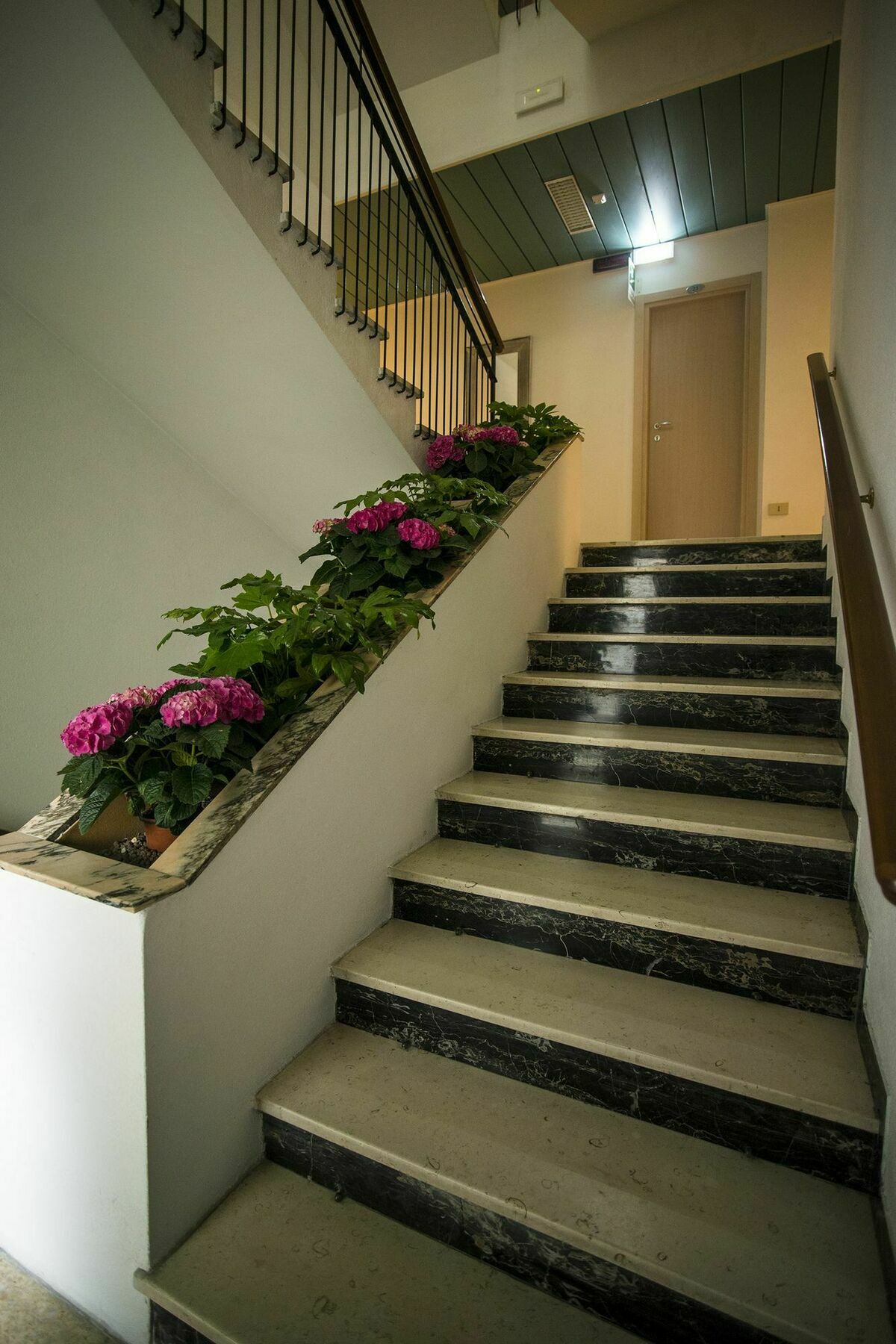 Hotel 21 Riccione Exteriér fotografie